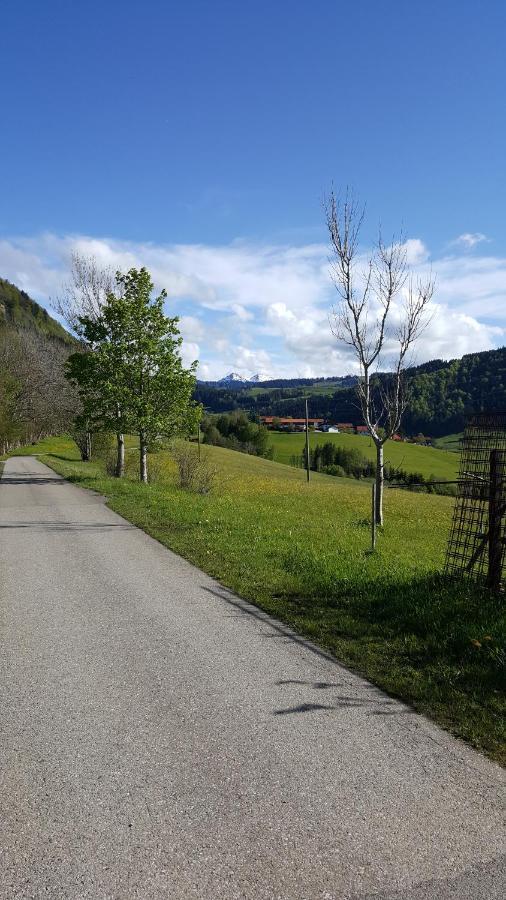 Fewo Friado Im Ferienpark Oa - Ohne Zusatzkosten Nach Anreise - Mit Hallenbad, W-Lan, Pkw-Garage, Kurtaxe Mit Allgaeu-Walser-Pass, Bett- Und Handtuch-Waesche Sowie End-Reinigung Missen-Wilhams Exterior foto